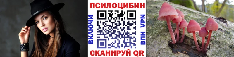 это Telegram  купить закладку  Ахтырский  Псилоцибиновые грибы Magic Shrooms 